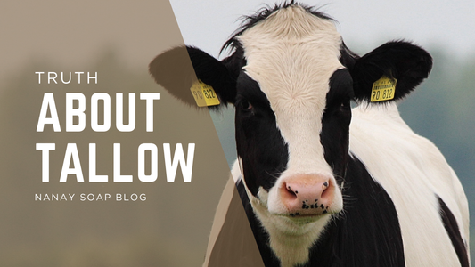 Why Tallow Skincare Matters & How to Make It Work for You