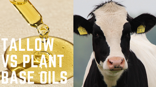 Tallow vs. Plant-Based Oils: Which One for Your Skin?